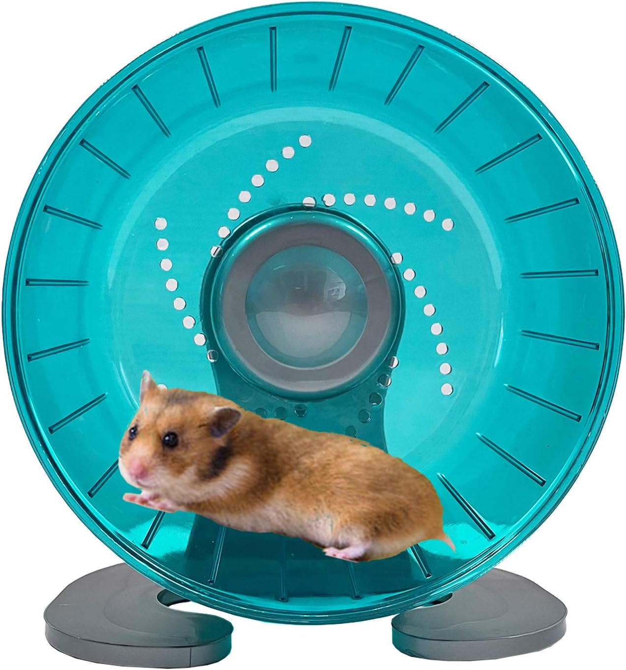 Petest silent hamster wheel in a small animal cage