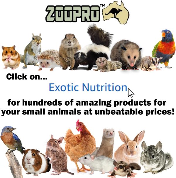 Exotic Nutrition Exercise Wheel for Cats Autoclean Track-6