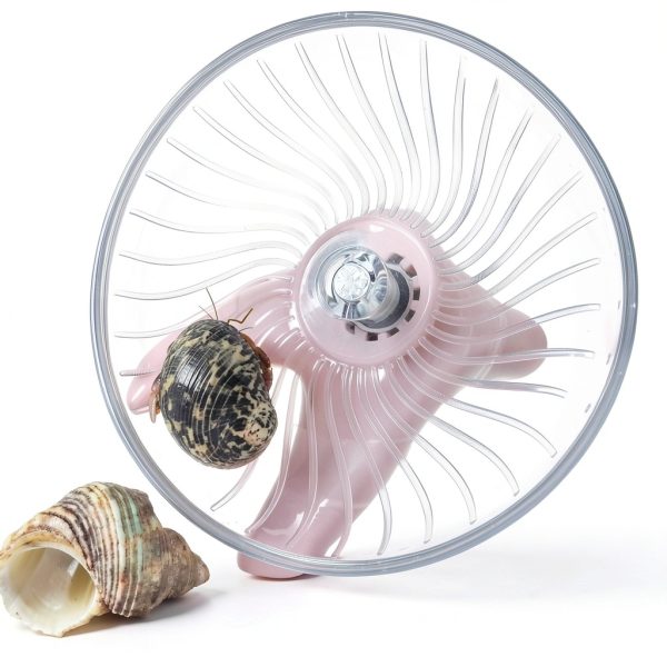 MinrzPet Hermit Crab Climbing Toys Silent Rolling Wheel-5