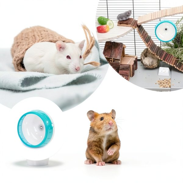 Mengqianxun Silent Hamster Wheel Plastic Exercise Pet-5