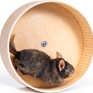 Amida Craft Chinchilla Wheel Silent Durable Exercise-0