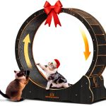 Homegroove Cat Exercise Wheel Silent Wooden Indoor Pet-0