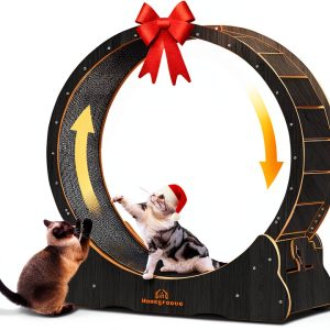 Homegroove Cat Exercise Wheel Silent Wooden Indoor Pet-0