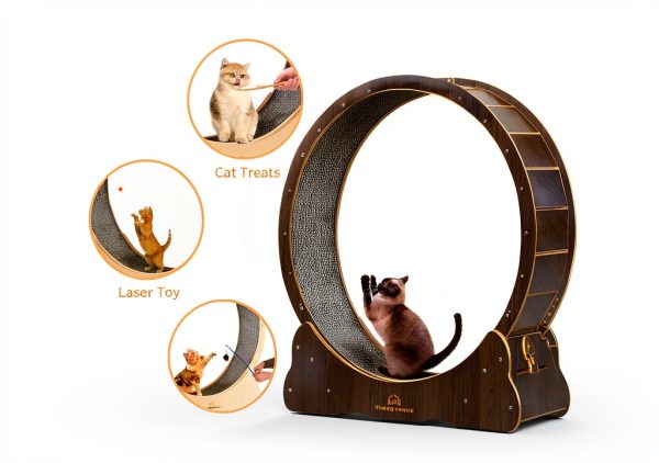 Homegroove Cat Exercise Wheel Silent Wooden Indoor Pet-3