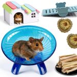 Hamiledyi Hamster Exercise Wheel Silent Safe Pet Toy Set-0