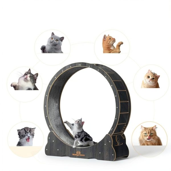 Homegroove Cat Exercise Wheel Silent Wooden Indoor Pet-4