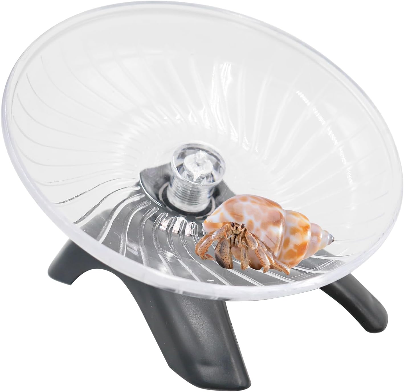 MinrzPet hermit crab climbing toy in a small animal enclosure