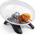 Oooct Hermit Crab Climbing Toy Silent Durable Plastic Steel-0