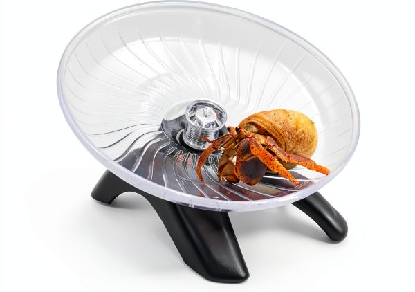 Oooct Hermit Crab Climbing Toy Silent Durable Plastic Steel-0